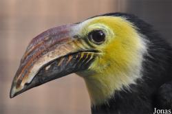 Vogelpark Avifauna