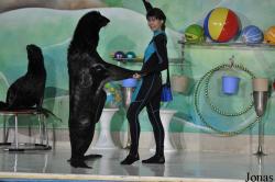 Dubai Dolphinarium