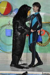 Dubai Dolphinarium