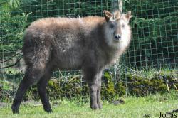 Zoo Parc Overloon