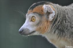 Zoo Parc Overloon