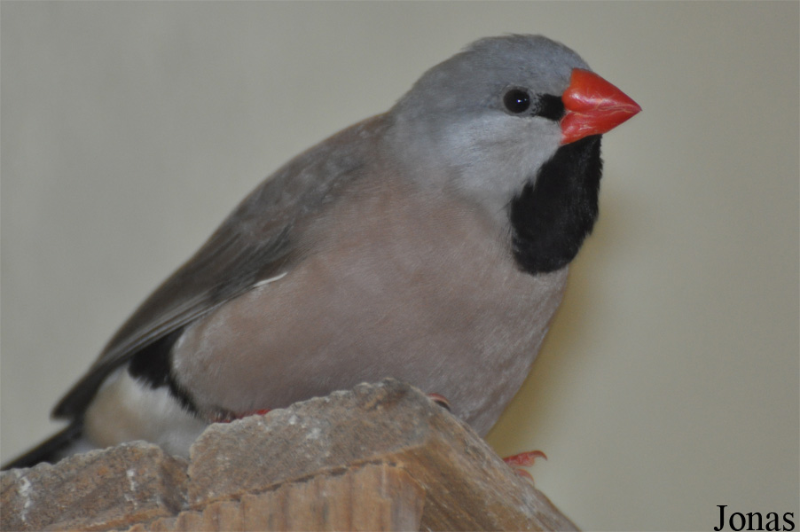 Tierpark Gotha