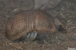 Tierpark Gotha