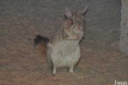 Tierpark Gotha