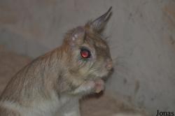 Tierpark Gotha