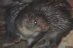 Tierpark Gotha