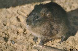 Tierpark Gotha