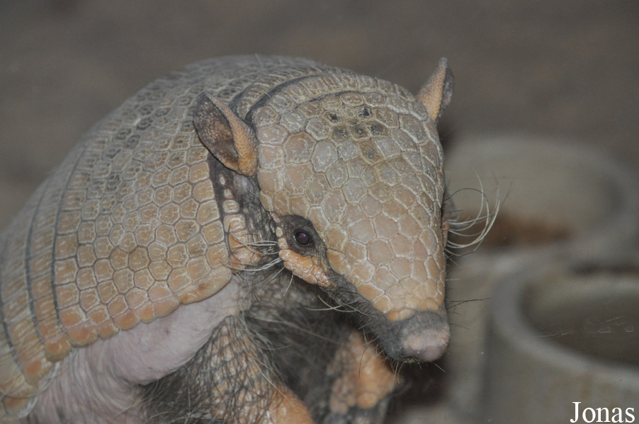 Tierpark Gotha