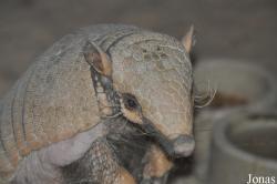 Tierpark Gotha
