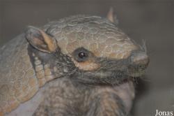 Tierpark Gotha