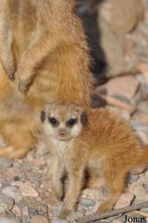 Tierpark Gotha