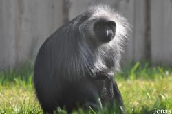 Thüringer Zoopark Erfurt