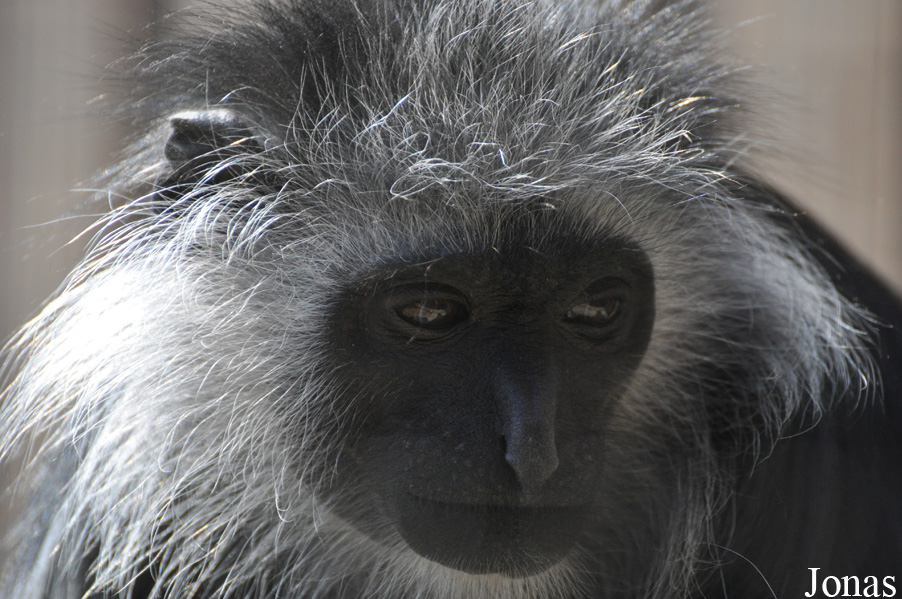 Thüringer Zoopark Erfurt