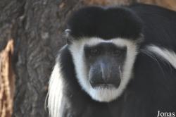 Thüringer Zoopark Erfurt