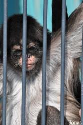 Thüringer Zoopark Erfurt
