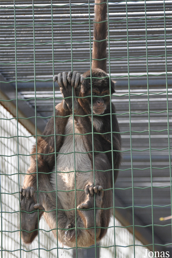 Thüringer Zoopark Erfurt