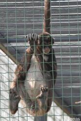 Thüringer Zoopark Erfurt