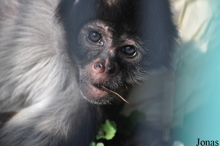 Thüringer Zoopark Erfurt
