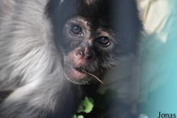 Thüringer Zoopark Erfurt