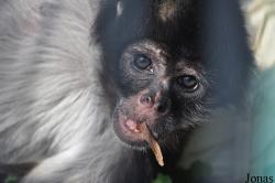 Thüringer Zoopark Erfurt