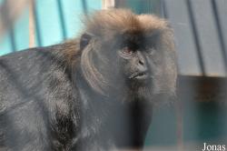 Thüringer Zoopark Erfurt