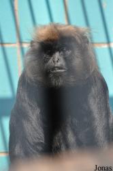 Thüringer Zoopark Erfurt