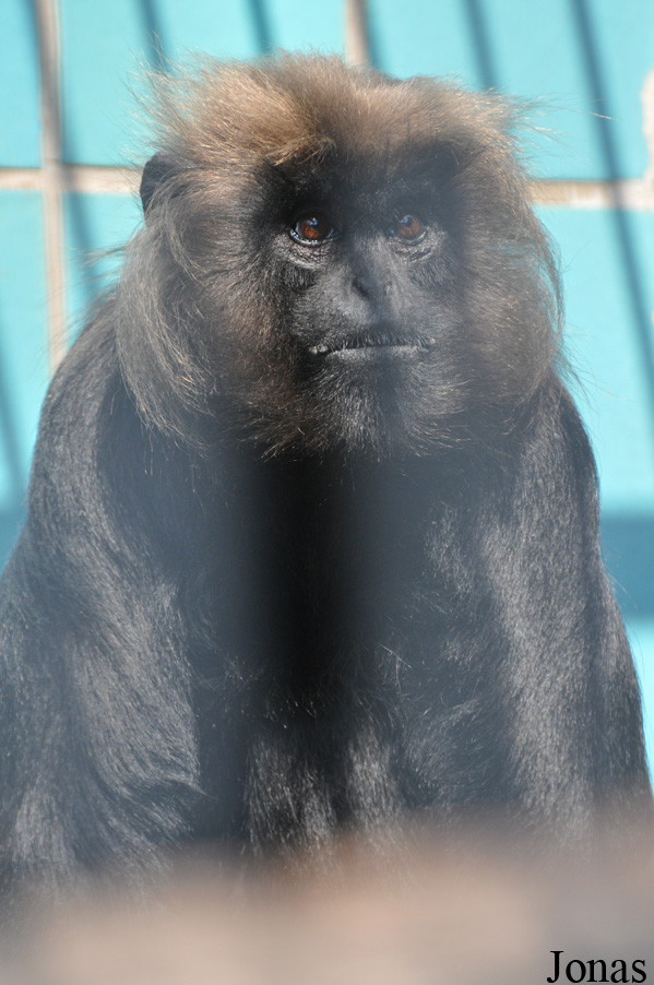 Thüringer Zoopark Erfurt