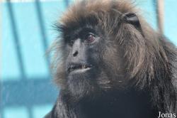Thüringer Zoopark Erfurt