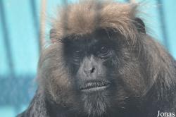 Thüringer Zoopark Erfurt