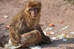 Thüringer Zoopark Erfurt