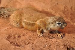Thüringer Zoopark Erfurt