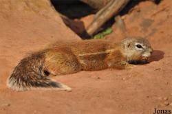 Thüringer Zoopark Erfurt