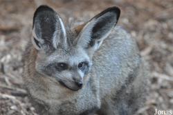Thüringer Zoopark Erfurt