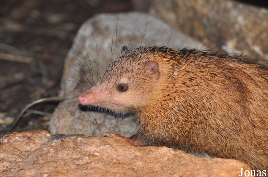Thüringer Zoopark Erfurt