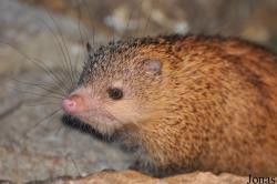 Thüringer Zoopark Erfurt