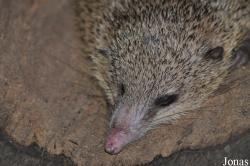 Thüringer Zoopark Erfurt