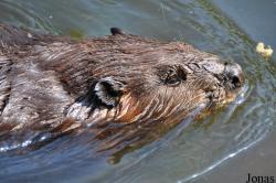 Aqua Zoo Friesland