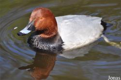 Aqua Zoo Friesland