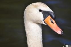 Aqua Zoo Friesland