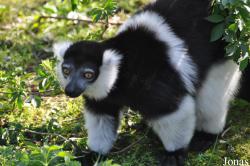 Aqua Zoo Friesland
