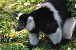 Aqua Zoo Friesland