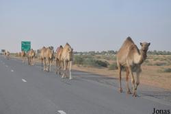 Sharjah
