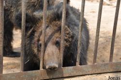 Badaling Safari World