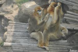 Beijing Wildlife Park