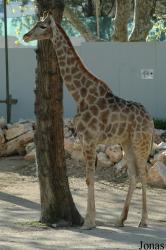 Jardim Zoológico de Lisboa