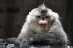 Beijing Zoological Gardens