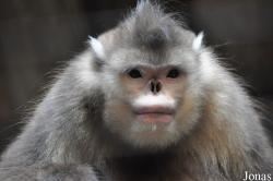 Beijing Zoological Gardens