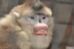 Beijing Zoological Gardens