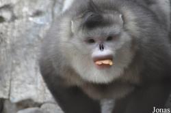 Beijing Zoological Gardens