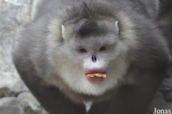 Beijing Zoological Gardens